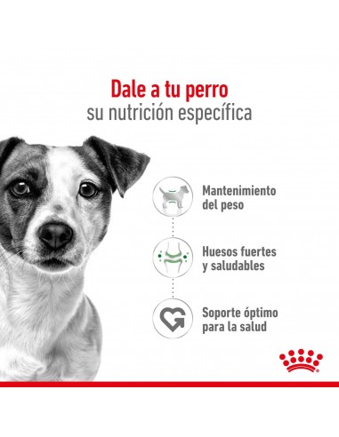 Royal Canin Mini Adult 15kg