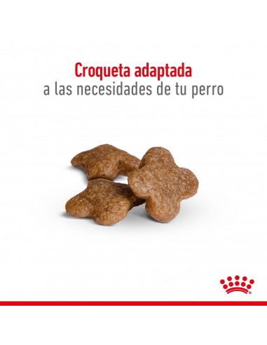 Royal Canin Mini Adult 8+ 3kg