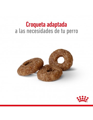 Royal Canin Mini Ageing 12+ 3kg