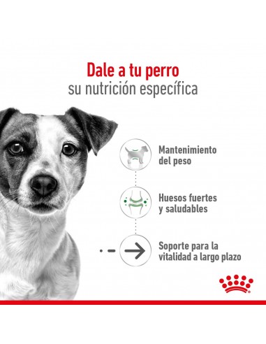 Royal Canin Mini Ageing 12+ 3kg