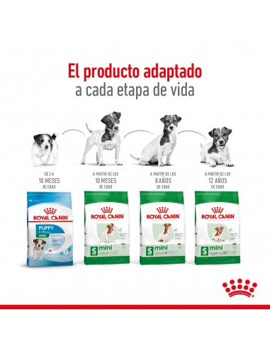 Royal Canin Mini Ageing 12+ 3kg