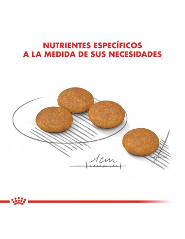 Royal Canin Mini Dermacomfort 3kg