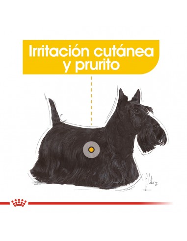 Royal Canin Mini Dermacomfort 3kg