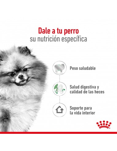 Royal Canin Mini Indoor 3kg