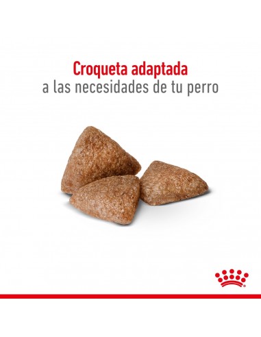 Royal Canin Mini Indoor 3kg