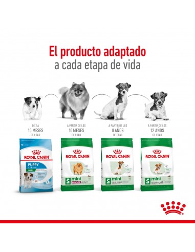 Royal Canin Mini Indoor 3kg