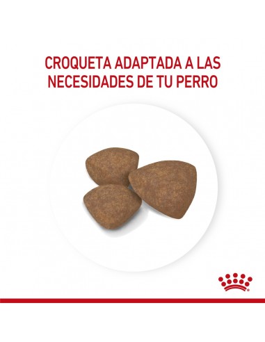 Royal Canin Mini Puppy 3kg