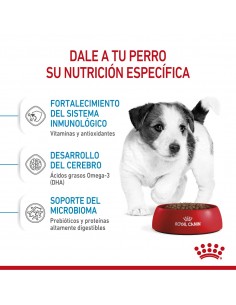 Royal Canin Mini Puppy 2