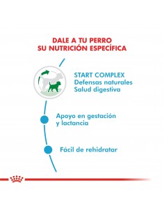Royal Canin Mini Starter 2