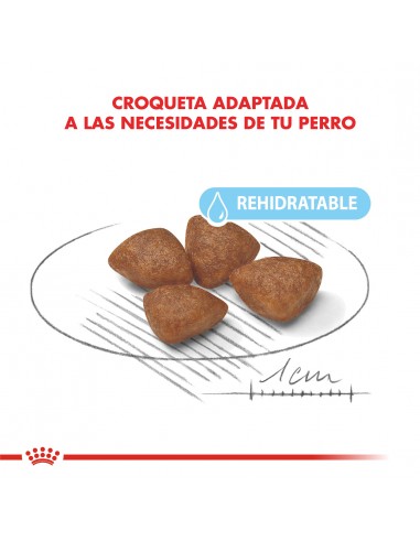 Royal Canin Mini Starter 3kg
