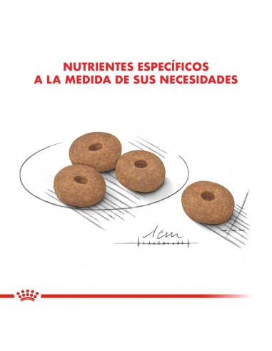 Royal Canin Mini Weight Care 3kg