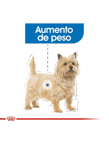Royal Canin Mini Weight Care 3kg