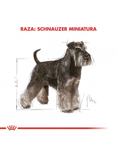 Royal Canin Miniature Schnauzer 3kg