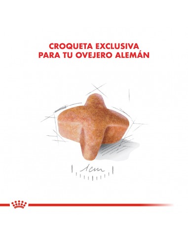 Royal Canin Ovejero Aleman Adult 12kg