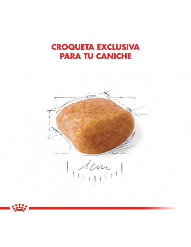 Royal Canin Caniche 3kg