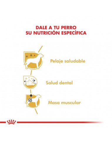 Royal Canin Caniche 7.5kg