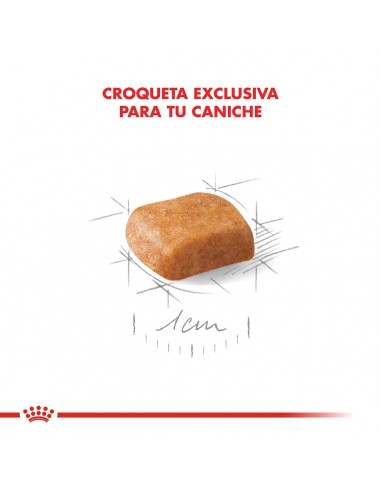 Royal Canin Caniche Puppy 3kg