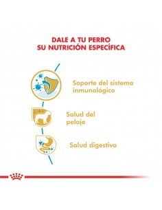 Royal Canin Caniche Puppy 2