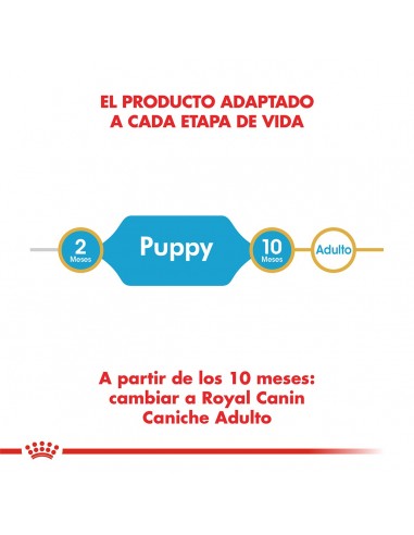 Royal Canin Caniche Puppy 3kg