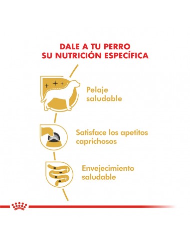Royal Canin Yorkshire Terrier Adult 3kg