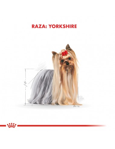 Royal Canin Yorkshire Terrier Adult 3kg