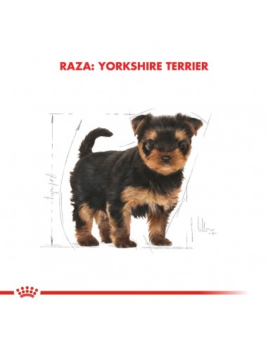 Royal Canin Yorkshire Terrier puppy 3kg