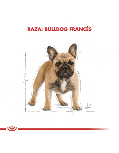 Royal Canin Bulldog Frances Adult 3kg
