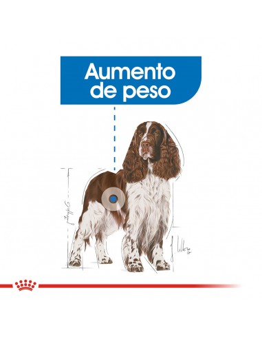 Royal Canin Medium Weight Care 10kg