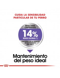Royal Canin Mini Castrados 2