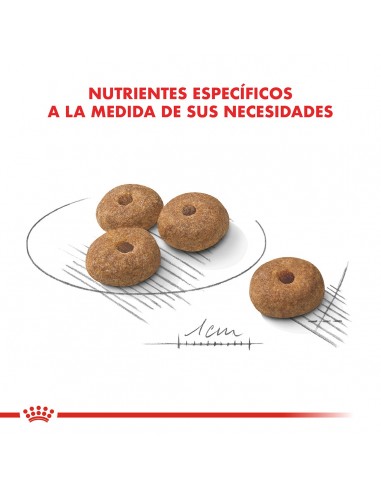 Royal Canin Mini Castrados 3kg