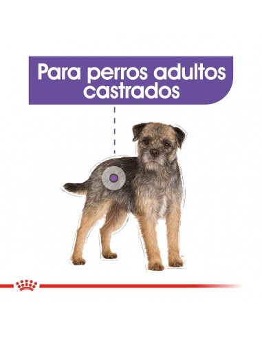 Royal Canin Mini Castrados 3kg