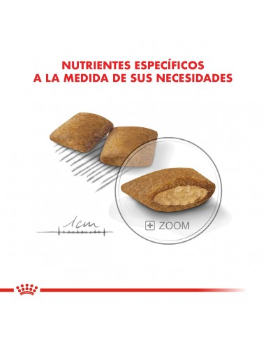 Royal Canin Mini Exigent 3kg