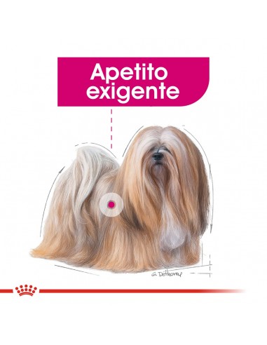 Royal Canin Mini Exigent 3kg