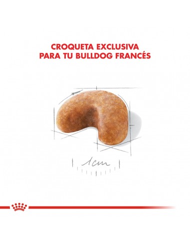 Royal Canin Bulldog Frances Puppy 3kg