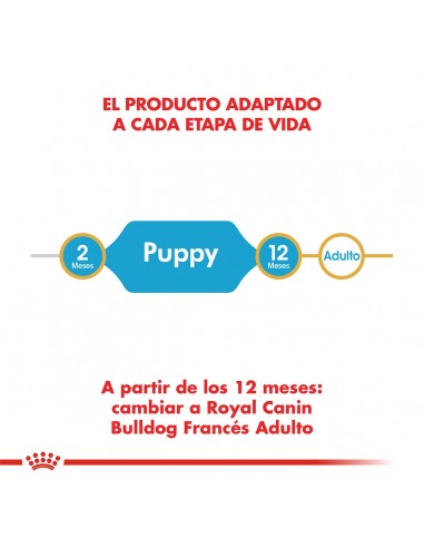 Royal Canin Bulldog Frances Puppy 3kg