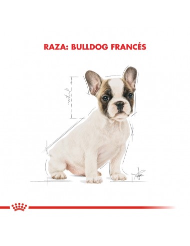 Royal Canin Bulldog Frances Puppy 3kg