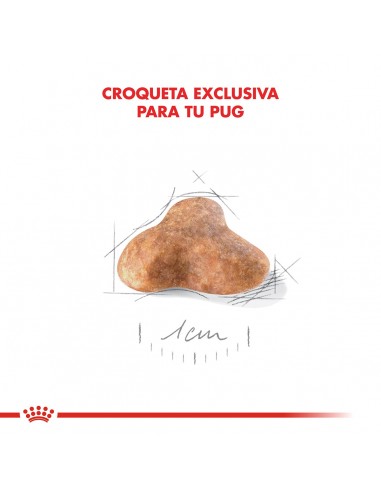 Royal Canin Pug adulto 3kg