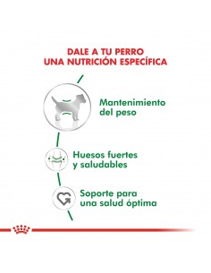 Royal Canin Mini Adulto pouch 2