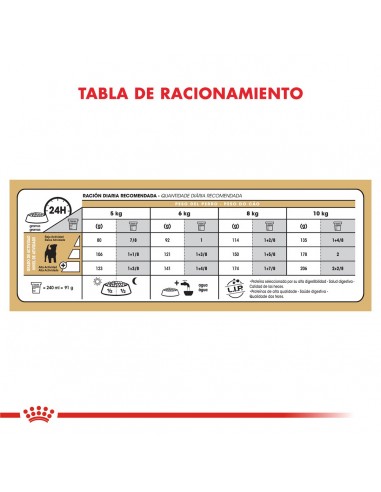 Royal Canin Jack Russel adulto 3kg