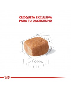 Royal Canin Dachshund Puppy 2