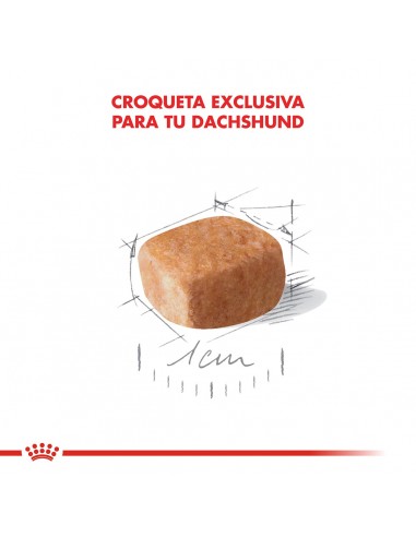Royal Canin Dachshund  Puppy 3kg