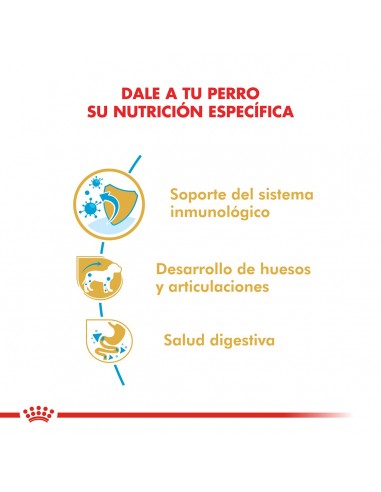 Royal Canin Dachshund  Puppy 3kg