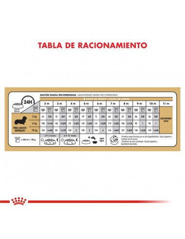 Royal Canin Dachshund  Puppy 3kg