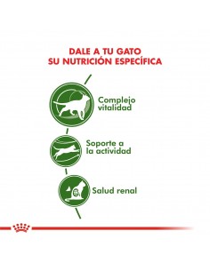 Royal Canin Active 7+ 1.5kg 2