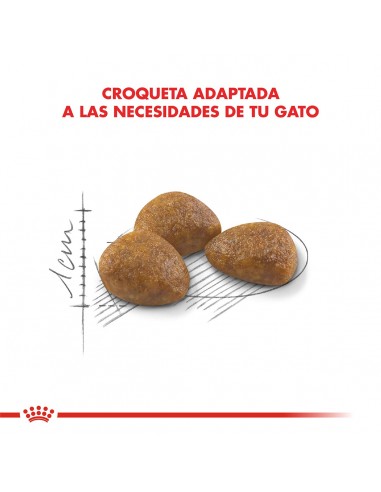Royal Canin Active 7+ Feline 1.5kg