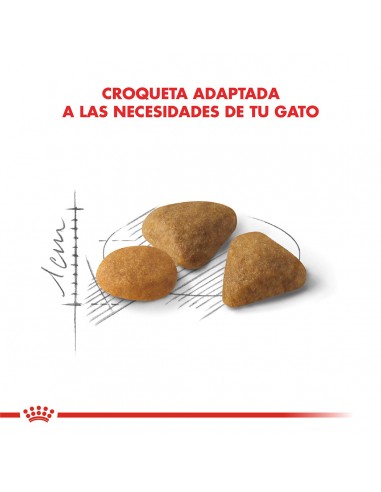 Royal Canin Exigent Feline 1.5kg