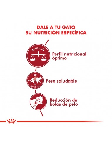 Royal Canin Regular Fit Feline 7.5kg