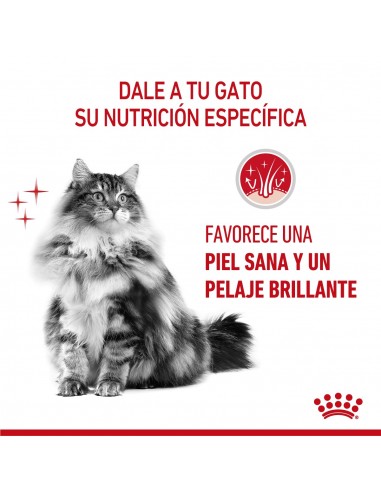 Royal Canin Hair & Skin Care Feline 2kg