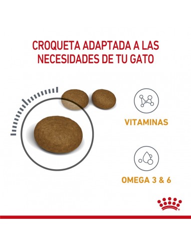 Royal Canin Hair & Skin Care Feline 2kg