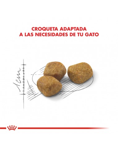 Royal Canin Indoor 7+ Feline 1.5kg
